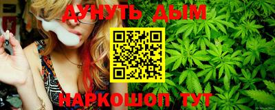 прущие грибы Белореченск