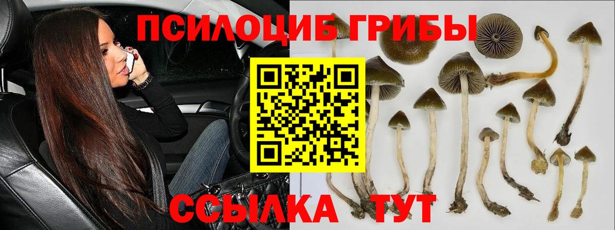 Псилоцибиновые грибы ЛСД Краснокамск