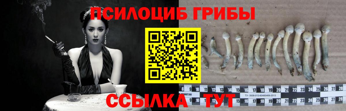 хочу наркоту  Галлюциногенные грибы мухоморы  Вход с VPN  Краснокамск 